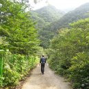 곰바우농장 이미지