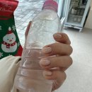 청주 송절동네일 맛집 디트온네일 자석네일 후기