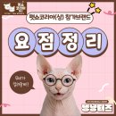 펫을 부탁해 | 2026 펫쇼코리아(상) 참가브랜드 총정리｜킨텍스 펫쇼 부스 미리보기 &amp; 쇼핑리스트 준비하기