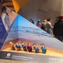 [호주 7박 9일] Day 4 : 멜버른 퍼핑빌리+필립 아일랜드 - 룬크로와상, 듁스커피, 사사프라스, 비오는...
