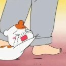 카페무슈 이미지