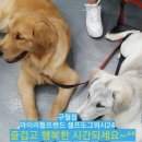 구월1동-17 이미지