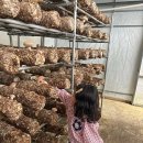 (주) 또바기가족 이미지