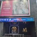 <마리 로랑생 회고전 : 무지개 위의 춤> 프리뷰 오프닝 관람후기 마이아트뮤지엄