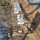 남산길 | 서울 도심속 힐링명소 남산 하늘숲길 후기