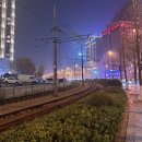 태연팜 | 대련(大连) 여행 (5탄)_1일차: 호텔 닛코 대련 스위트 업그레이드 후기 + 서안로 야시장에 '포토이즘'?