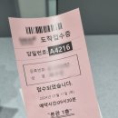 유방5통 | 뇌하수체선종 고프로락틴혈증 프로락틴 진단 후기 피검사 채혈 MRI 산정특례 커버락틴 임신