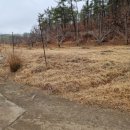 청통면사무소 이미지