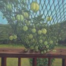 강화여성복지회관 이미지