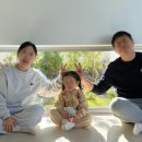 시재시재 이미지