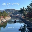 춘심의 꿈꾸는 아리랑 | [교토 근교 우지]윤동주 시인이 아리랑을 불렀다 전해지는 우지강 단풍길, 우지 녹차마을 가을 산책기