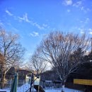 목련어린이집 이미지