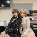 로제 OSEN