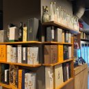 다모토리 이미지