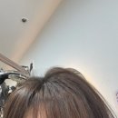 88 헤어샵 | 해운대장산미용실 유진헤어 뿌리펌 잘하는 해운대헤어샵 찾는다면 여기