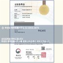 파이특허법률사무소