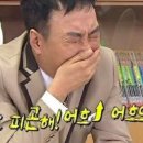 홍설화 이미지