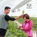 진철농장 이미지