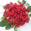 사슬치마을 이미지