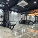 머슬앤핏 이미지