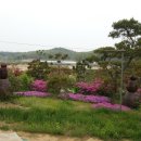 태화농장 2 이미지