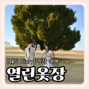 열린 | W04. 야외웨딩촬영 남자 정장 대여 열린옷장 후기 가성비 웨딩 스냅 정장 건대입구 추천