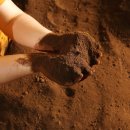 초록미소마을 이미지