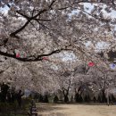 내산초등학교 이미지