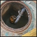 마포-현장-마포-1494 | 마포구 하수구막힘 하수구막힘서비스 이용 후기는 정말 만족스러웠고, 집안 분위기까지 상쾌하게 만들어...