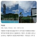 청남대풀빌라 | 청남대펜션 단체 숙소 청남대스테이풀빌라 숙박객 후기