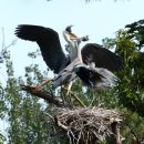 여기산공원 이미지