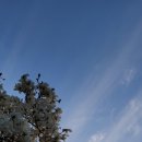 프라임마켄동해 이미지