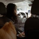 푸욱스테이 이미지