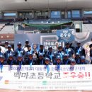 백마초등학교 이미지