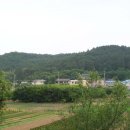 신청천 | 129. 창사 손명래
