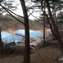 둥지2농장 이미지