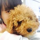 잠실베스트동물메디컬센터 이미지