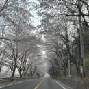 강변로길 이미지