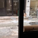 테라스애견미용카페 | 부산 전포 | 애견동반 데이트 야외 테라스 카페 내돈내산 솔직후기 - 뚜시네