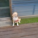 재영 동물병원 이미지