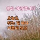 오늘더건강
