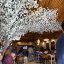 봉곡남로 | 소풍 수제초밥전문점 방문 후기