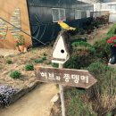 허브와풍뎅이 이미지