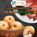 황금장터 이미지