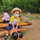 라라숲 어린이집 이미지