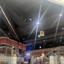 리빙클럽 | 스타필드마켓 일산 내돈내산 젤라띠젤라띠 젤라또아이스크림 후기 젤라또 맛 추천 키즈그라운드