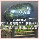 오담애월 이미지