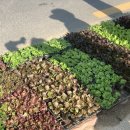 대원농장2 이미지