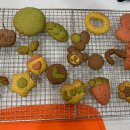 (주)에이팜건강 | [2019 A FARM SHOW] 우리 농촌 지킴이 팜서포터즈 2기 6주차 미션 : 2019 에이팜쇼 후기