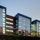 매원초교 이미지